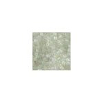 Miyuki Delicas Size 15 DBS051C Crystal AB *