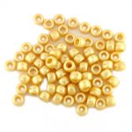 Pearl Pony Bead Gold