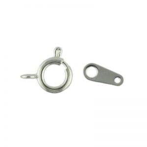 Bolt ring silver plated