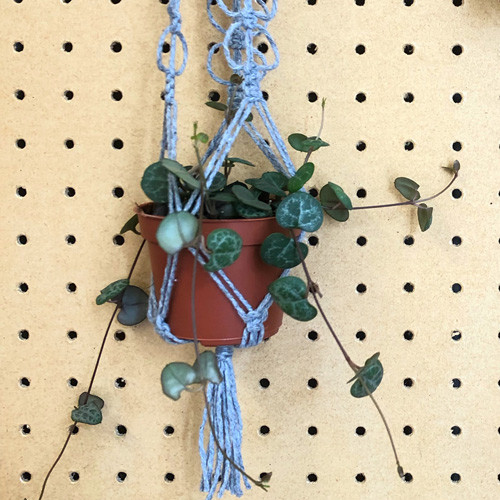 Macrame Plant Hanger