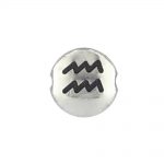 Aquarius Zodiac Sign Bead