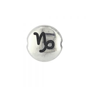 Capricorn Zodiac Sign bead