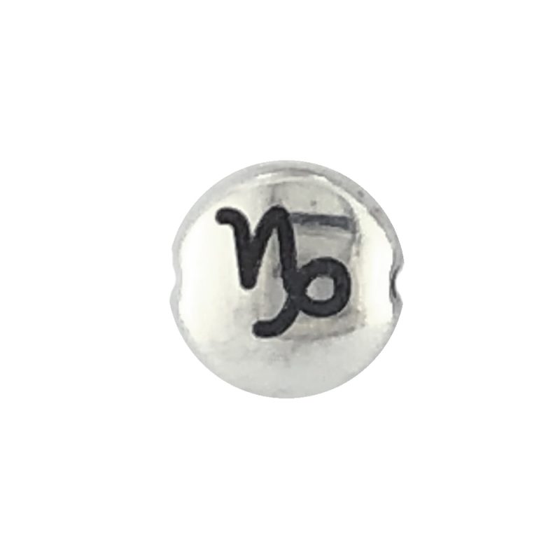 Capricorn Zodiac Sign bead