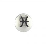 Pisces Zodiac Sign Bead