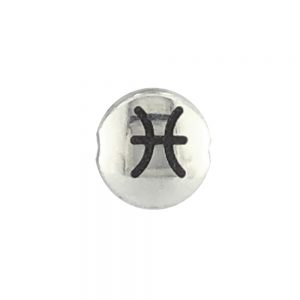 Pisces Zodiac Sign Bead