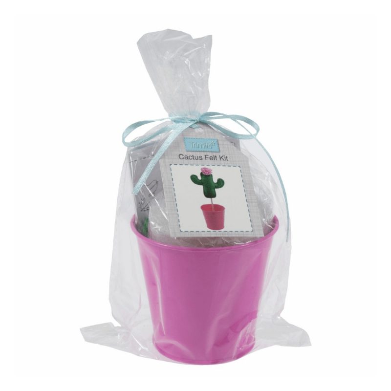 Cactus Kit in a bucket - sew your own cactus