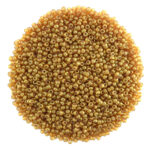 size 11 spice miyuki seed beads 2372